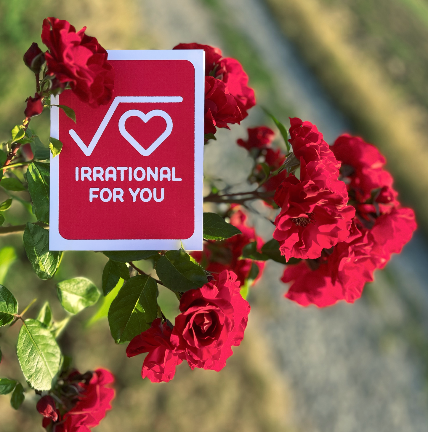 irrational for you